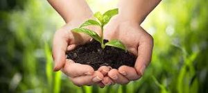 ecologico